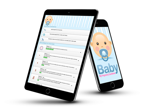 Wordpress Pregnancy Plugin